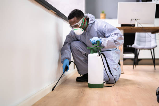 Best Pest Exclusion Services  in Rhome, TX